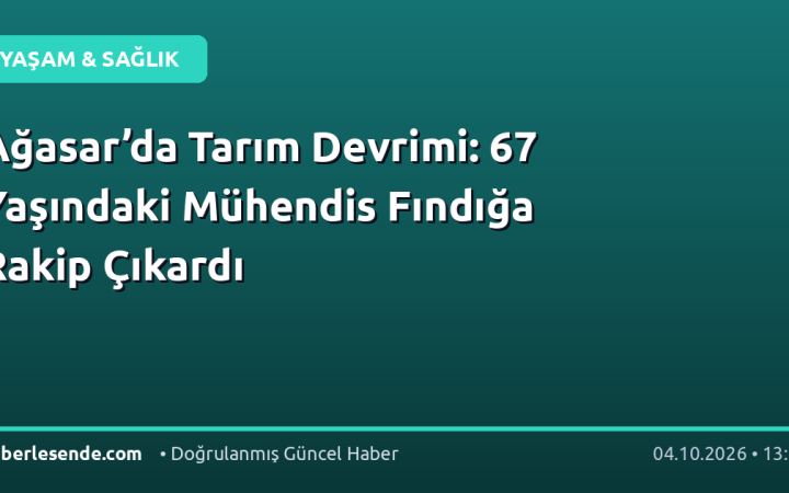 Ağasar’da Tarım Devrimi: 67 Yaşındaki Mühendis Fındığa Rakip Çıkardı