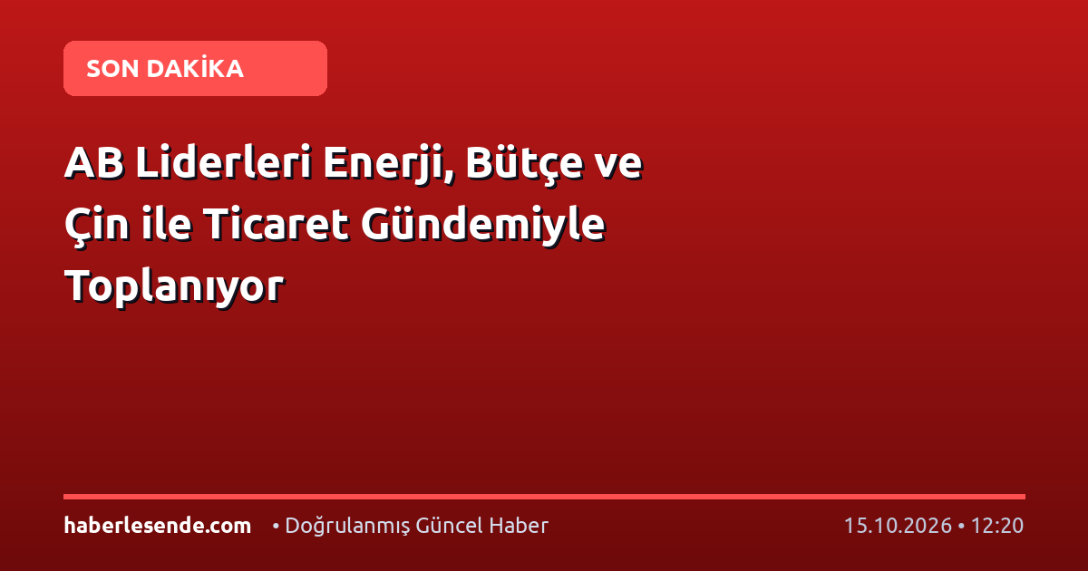 AB Liderleri Enerji, Bütçe ve Çin ile Ticaret Gündemiyle Toplanıyor