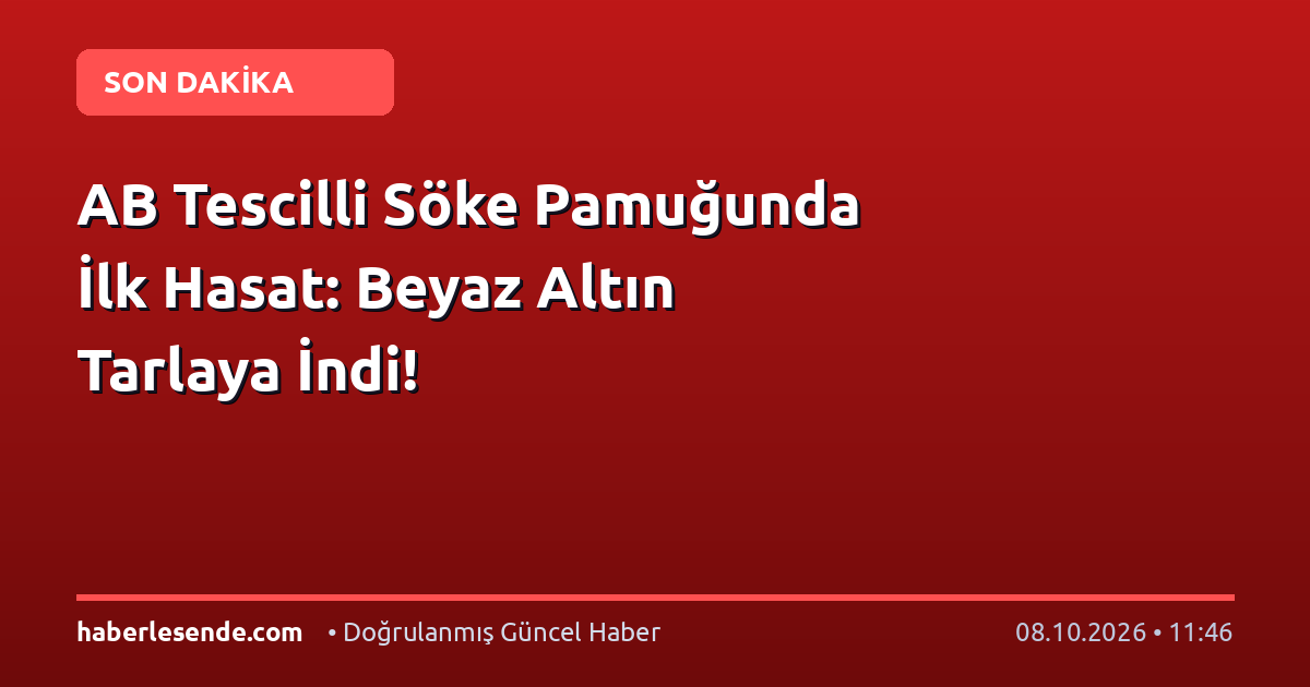 AB Tescilli Söke Pamuğunda İlk Hasat: Beyaz Altın Tarlaya İndi!