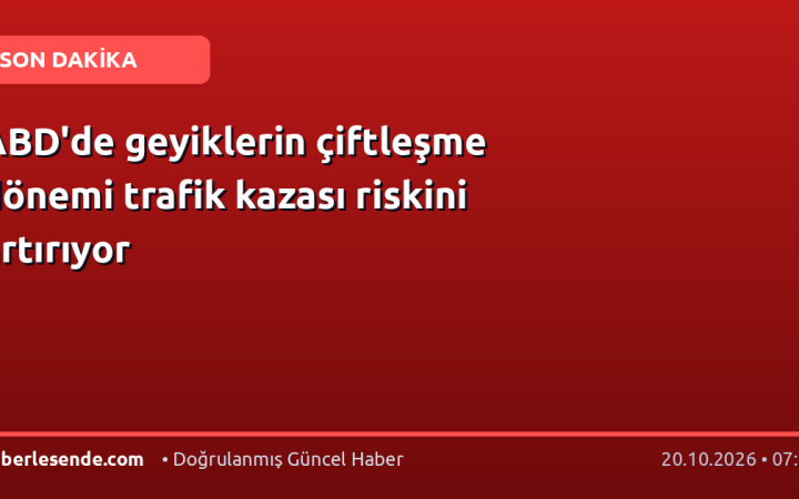 ABD'de geyiklerin çiftleşme dönemi trafik kazası riskini artırıyor