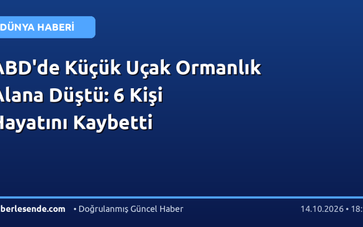 ABD'de Küçük Uçak Ormanlık Alana Düştü: 6 Kişi Hayatını Kaybetti