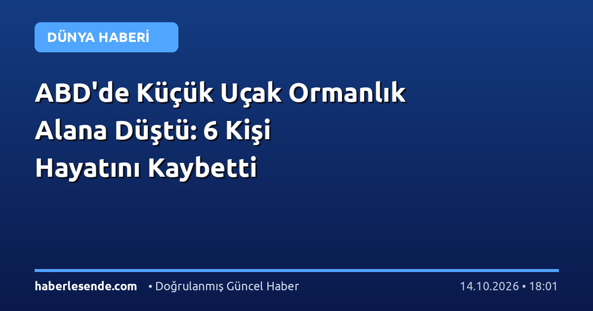 ABD'de Küçük Uçak Ormanlık Alana Düştü: 6 Kişi Hayatını Kaybetti