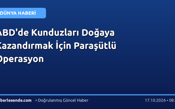 ABD'de Kunduzları Doğaya Kazandırmak İçin Paraşütlü Operasyon