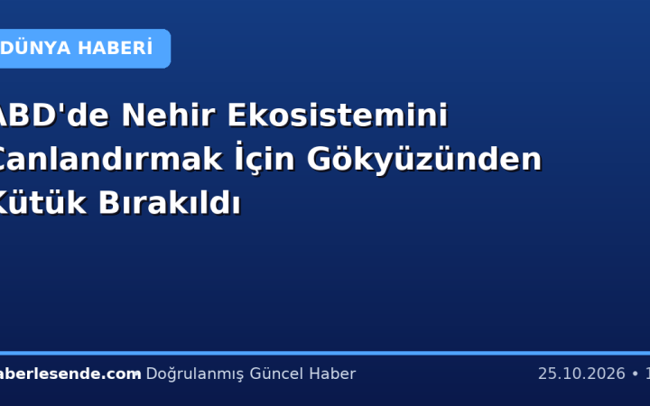 ABD'de Nehir Ekosistemini Canlandırmak İçin Gökyüzünden Kütük Bırakıldı