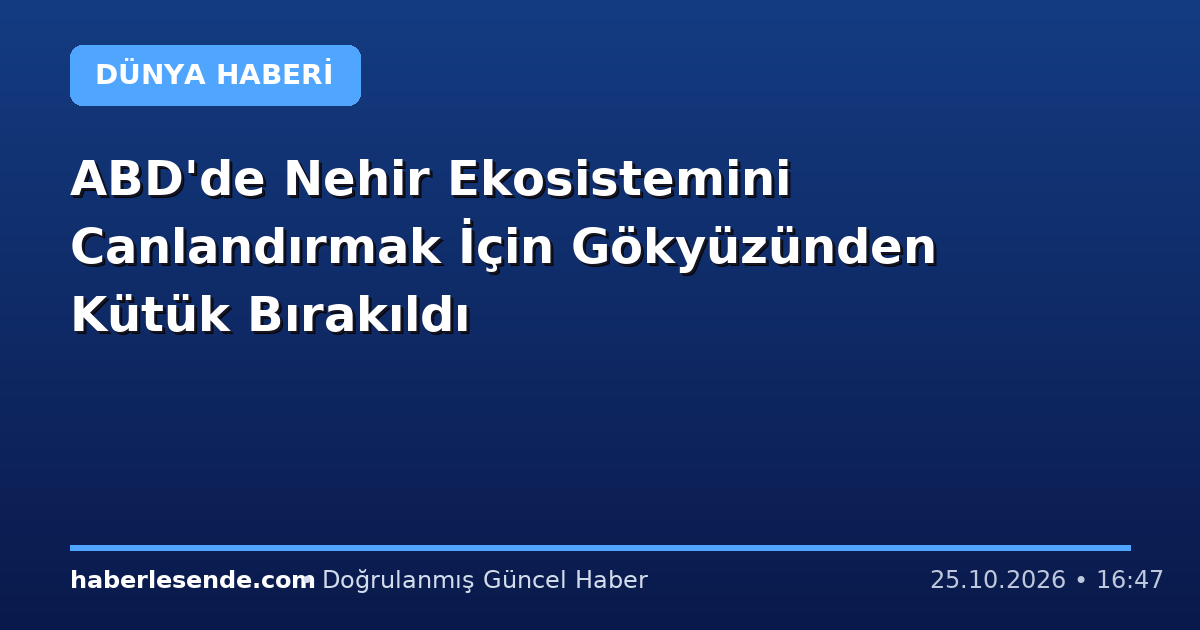 ABD'de Nehir Ekosistemini Canlandırmak İçin Gökyüzünden Kütük Bırakıldı