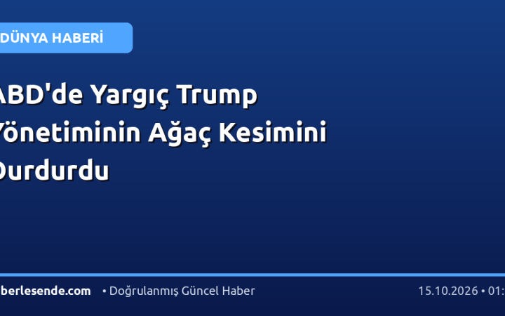 ABD'de Yargıç Trump Yönetiminin Ağaç Kesimini Durdurdu
