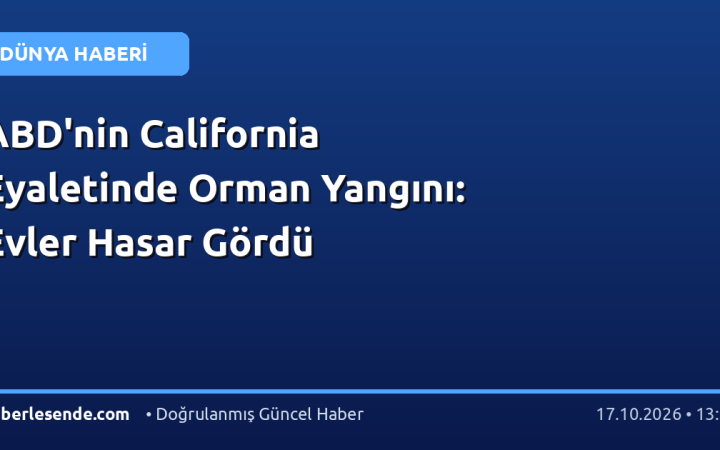 ABD'nin California Eyaletinde Orman Yangını: Evler Hasar Gördü