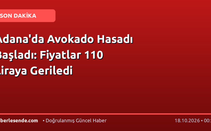 Adana'da Avokado Hasadı Başladı: Fiyatlar 110 Liraya Geriledi