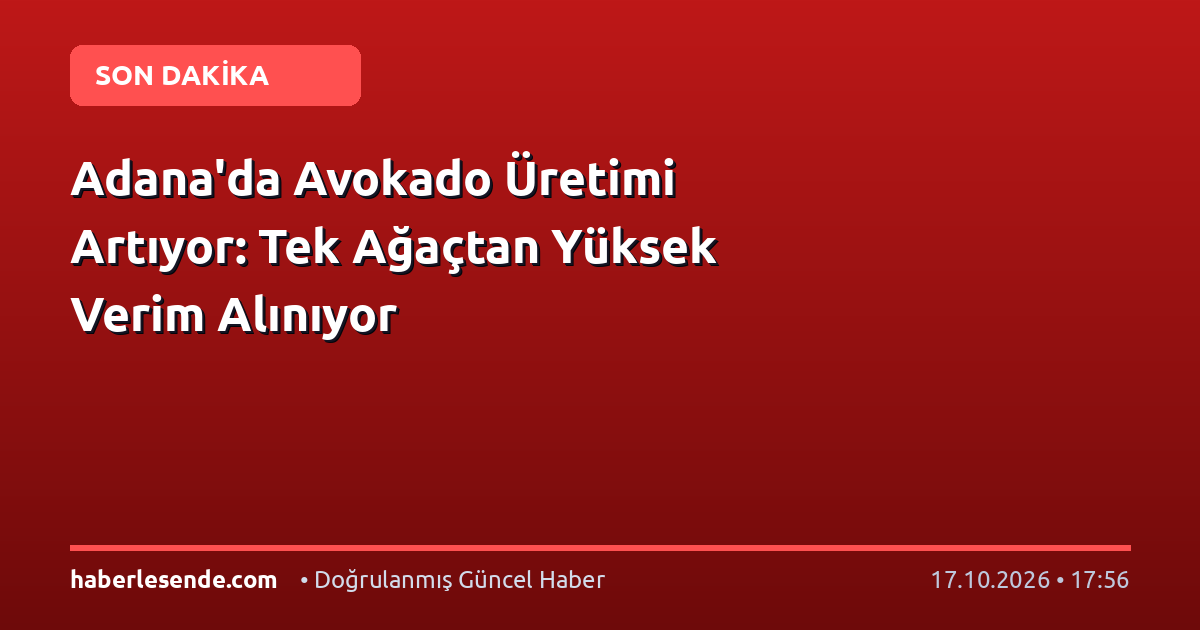 Adana'da Avokado Üretimi Artıyor: Tek Ağaçtan Yüksek Verim Alınıyor