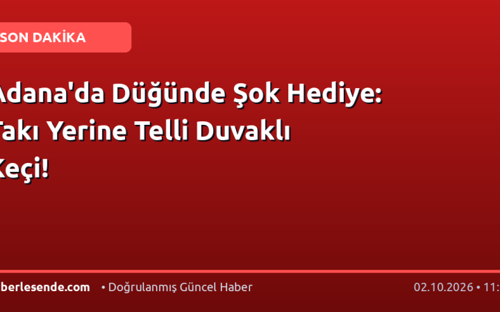 Adana'da Düğünde Şok Hediye: Takı Yerine Telli Duvaklı Keçi!