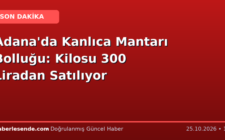 Adana'da Kanlıca Mantarı Bolluğu: Kilosu 300 Liradan Satılıyor
