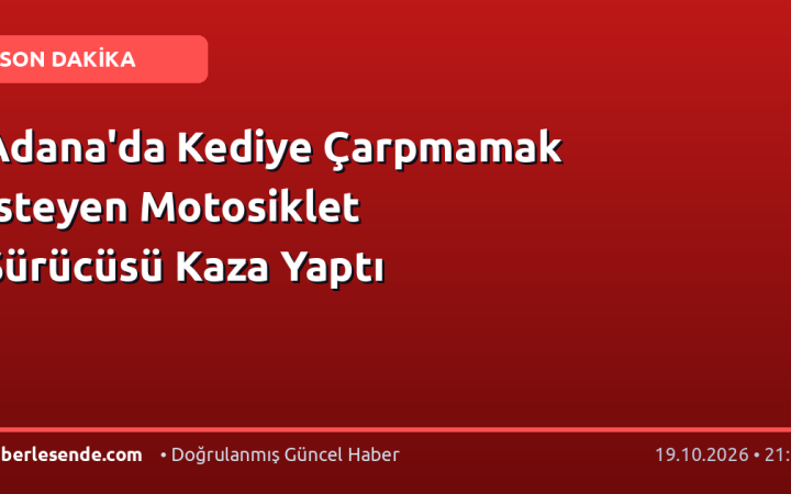 Adana'da Kediye Çarpmamak İsteyen Motosiklet Sürücüsü Kaza Yaptı