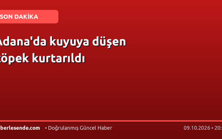 Adana'da kuyuya düşen köpek kurtarıldı