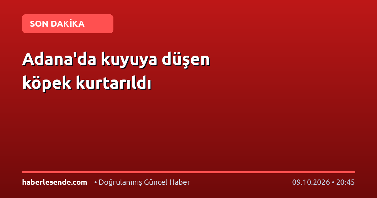 Adana'da kuyuya düşen köpek kurtarıldı