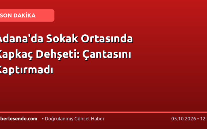 Adana'da Sokak Ortasında Kapkaç Dehşeti: Çantasını Kaptırmadı