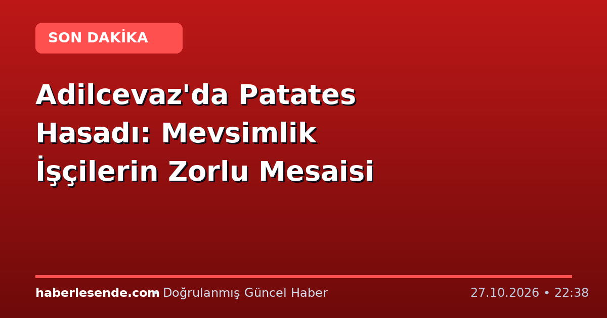 Adilcevaz'da Patates Hasadı: Mevsimlik İşçilerin Zorlu Mesaisi