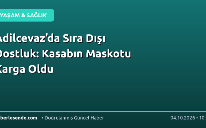 Adilcevaz’da Sıra Dışı Dostluk: Kasabın Maskotu Karga Oldu