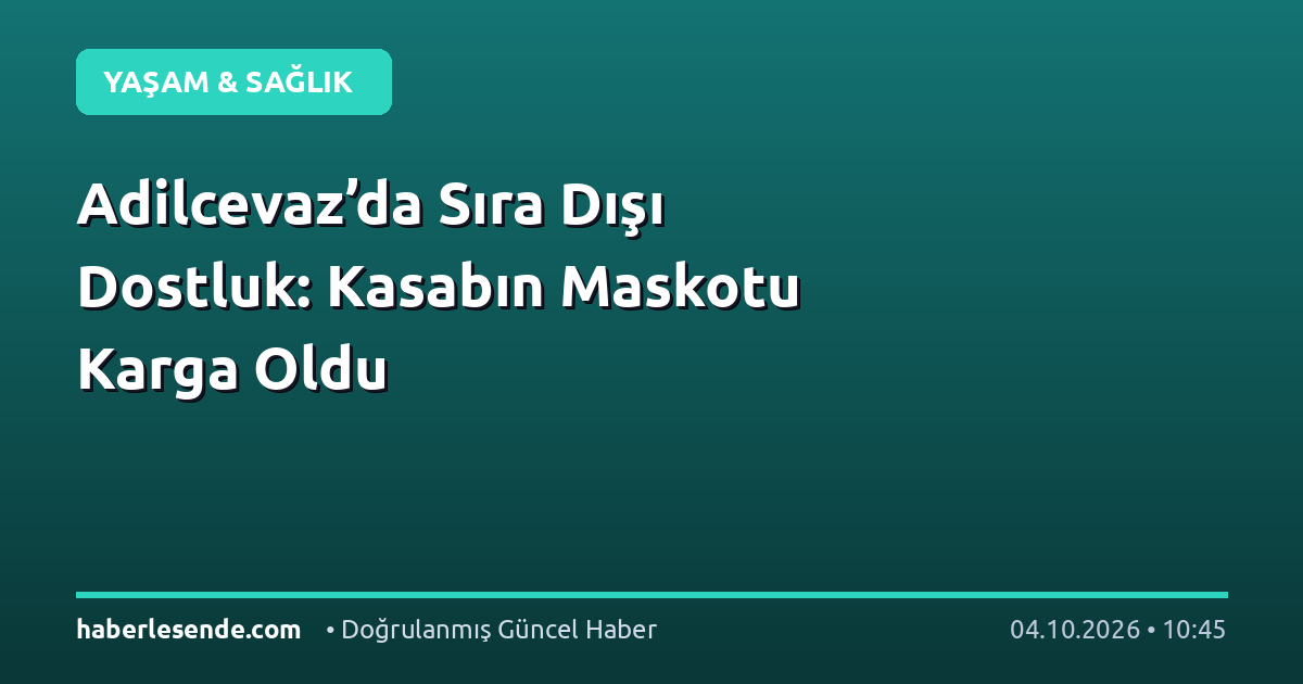 Adilcevaz’da Sıra Dışı Dostluk: Kasabın Maskotu Karga Oldu