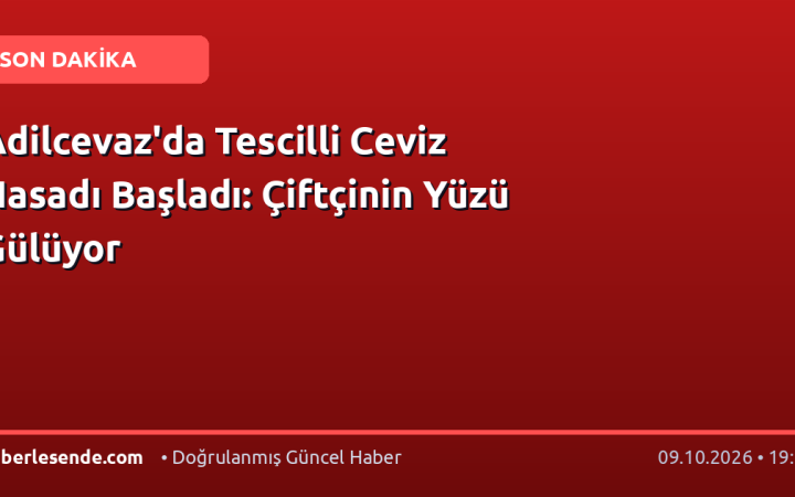 Adilcevaz'da Tescilli Ceviz Hasadı Başladı: Çiftçinin Yüzü Gülüyor