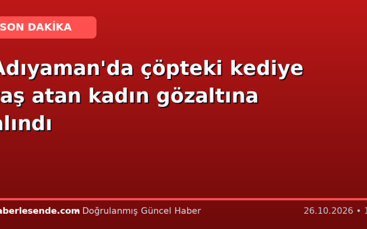 Adıyaman'da çöpteki kediye taş atan kadın gözaltına alındı