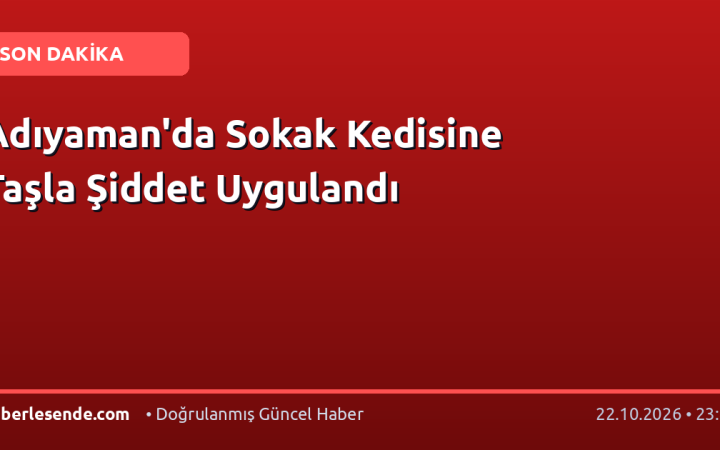 Adıyaman'da Sokak Kedisine Taşla Şiddet Uygulandı