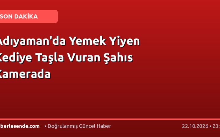 Adıyaman'da Yemek Yiyen Kediye Taşla Vuran Şahıs Kamerada