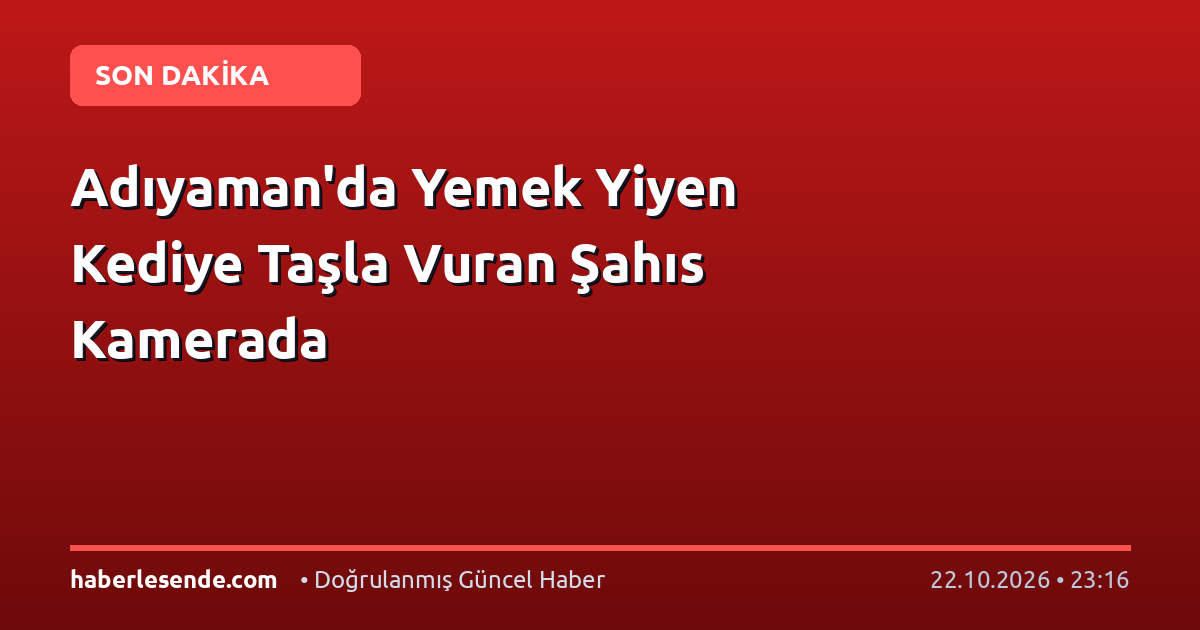 Adıyaman'da Yemek Yiyen Kediye Taşla Vuran Şahıs Kamerada