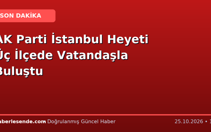 AK Parti İstanbul Heyeti Üç İlçede Vatandaşla Buluştu