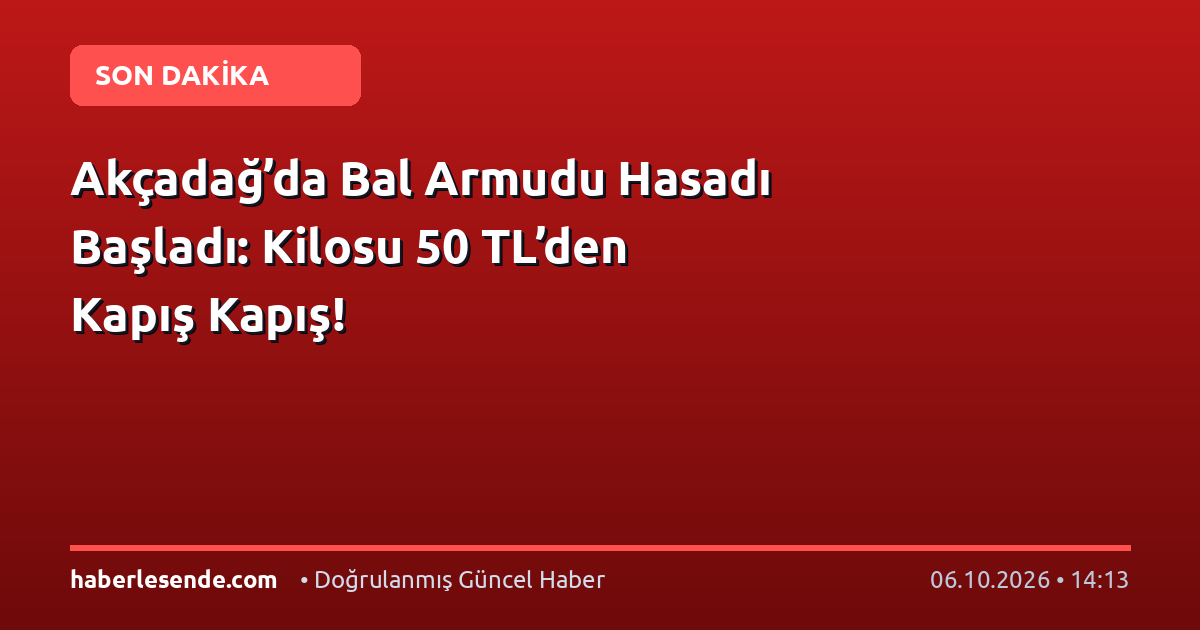 Akçadağ’da Bal Armudu Hasadı Başladı: Kilosu 50 TL’den Kapış Kapış!