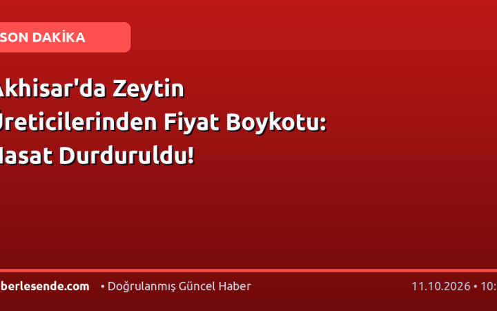 Akhisar'da Zeytin Üreticilerinden Fiyat Boykotu: Hasat Durduruldu!