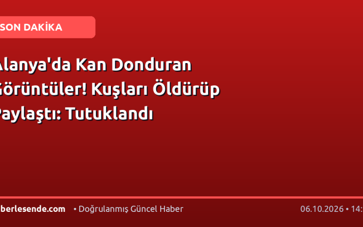 Alanya'da Kan Donduran Görüntüler! Kuşları Öldürüp Paylaştı: Tutuklandı