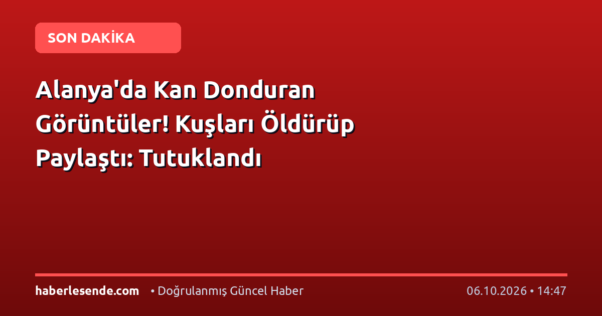 Alanya'da Kan Donduran Görüntüler! Kuşları Öldürüp Paylaştı: Tutuklandı