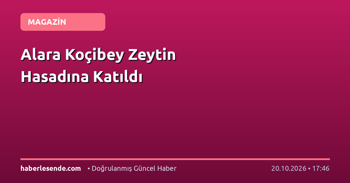 Alara Koçibey Zeytin Hasadına Katıldı