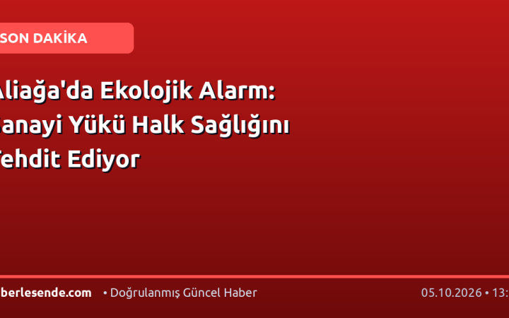 Aliağa'da Ekolojik Alarm: Sanayi Yükü Halk Sağlığını Tehdit Ediyor