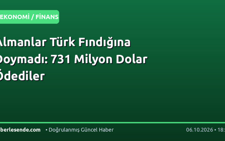 Almanlar Türk Fındığına Doymadı: 731 Milyon Dolar Ödediler