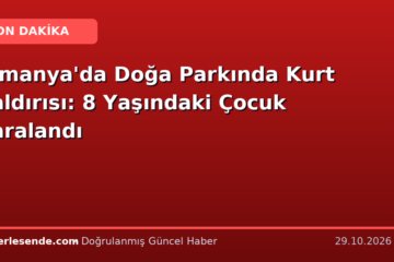 Almanya'da Doğa Parkında Kurt Saldırısı: 8 Yaşındaki Çocuk Yaralandı