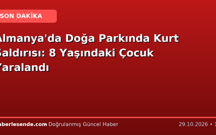 Almanya'da Doğa Parkında Kurt Saldırısı: 8 Yaşındaki Çocuk Yaralandı