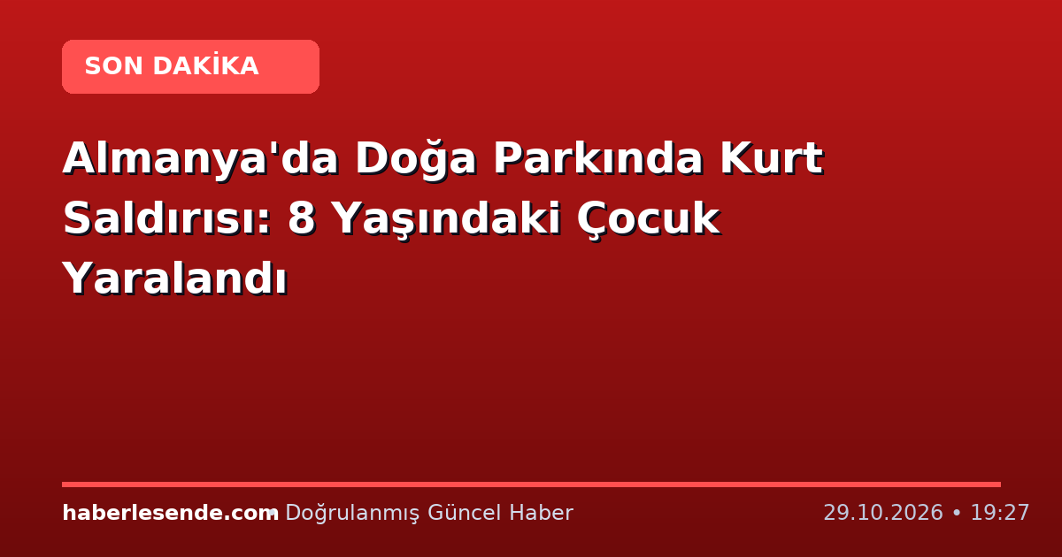 Almanya'da Doğa Parkında Kurt Saldırısı: 8 Yaşındaki Çocuk Yaralandı