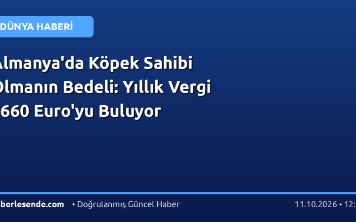 Almanya'da Köpek Sahibi Olmanın Bedeli: Yıllık Vergi 1660 Euro'yu Buluyor