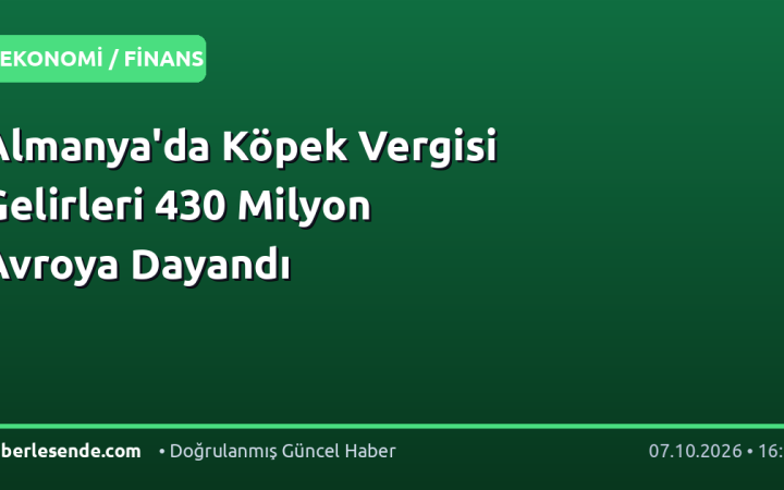 Almanya'da Köpek Vergisi Gelirleri 430 Milyon Avroya Dayandı