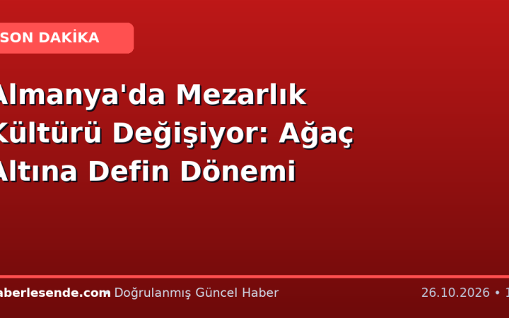 Almanya'da Mezarlık Kültürü Değişiyor: Ağaç Altına Defin Dönemi