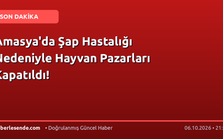 Amasya'da Şap Hastalığı Nedeniyle Hayvan Pazarları Kapatıldı!