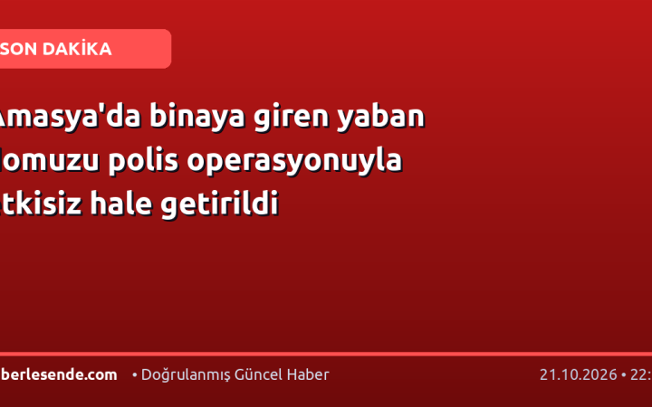 Amasya'da binaya giren yaban domuzu polis operasyonuyla etkisiz hale getirildi