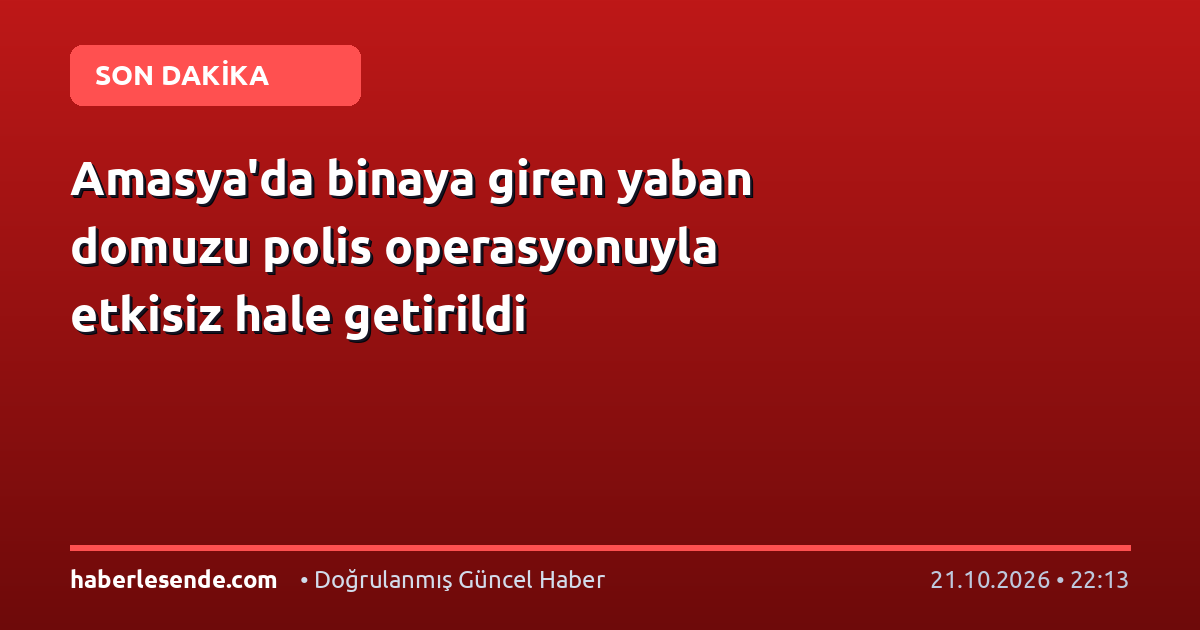 Amasya'da binaya giren yaban domuzu polis operasyonuyla etkisiz hale getirildi
