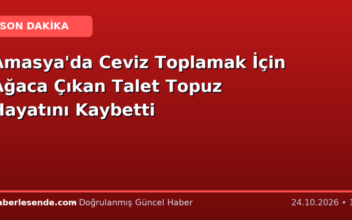 Amasya'da Ceviz Toplamak İçin Ağaca Çıkan Talet Topuz Hayatını Kaybetti