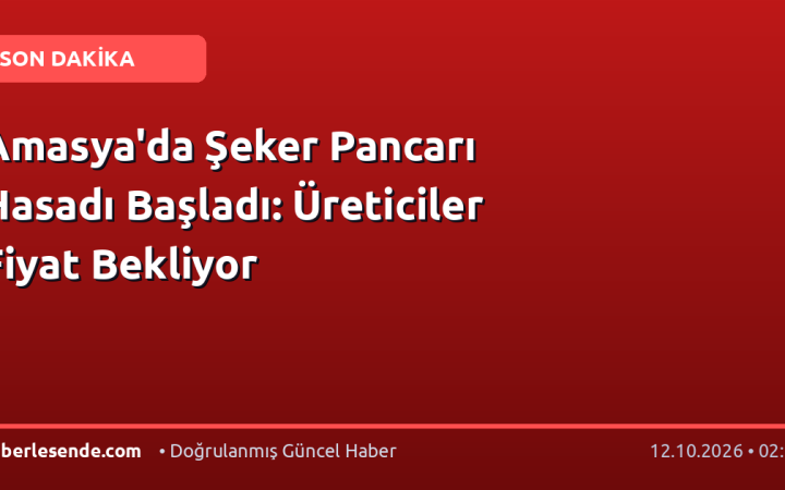 Amasya'da Şeker Pancarı Hasadı Başladı: Üreticiler Fiyat Bekliyor