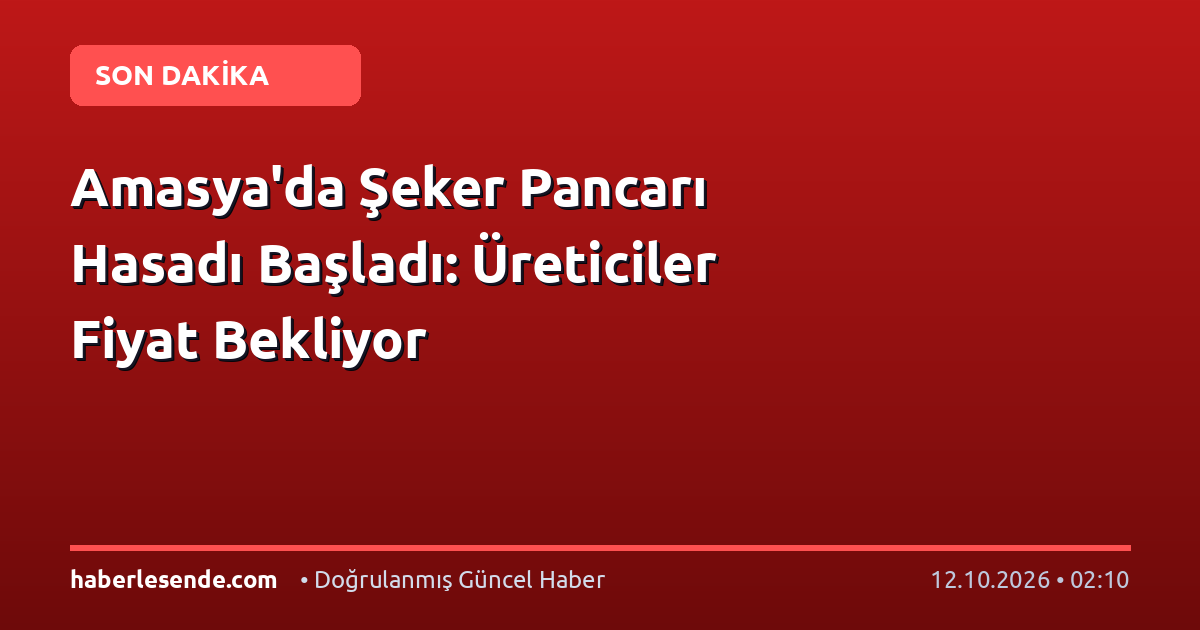 Amasya'da Şeker Pancarı Hasadı Başladı: Üreticiler Fiyat Bekliyor