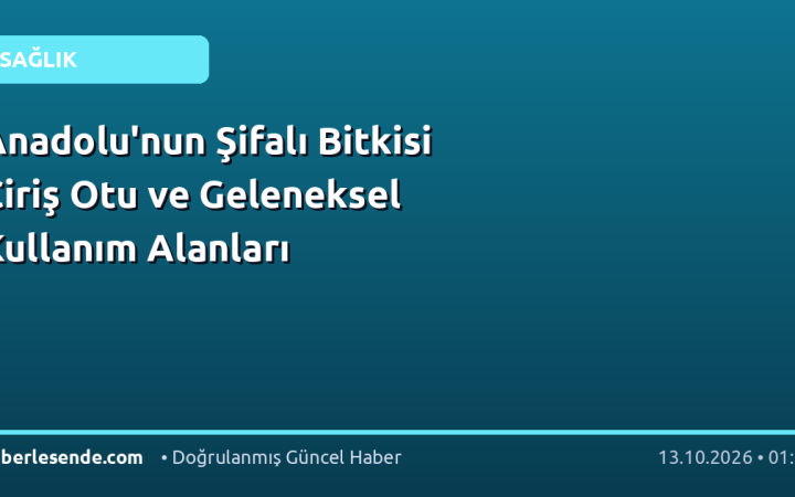 Anadolu'nun Şifalı Bitkisi Çiriş Otu ve Geleneksel Kullanım Alanları