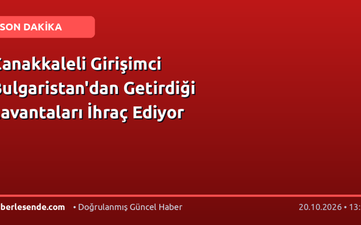 Çanakkaleli Girişimci Bulgaristan'dan Getirdiği Lavantaları İhraç Ediyor