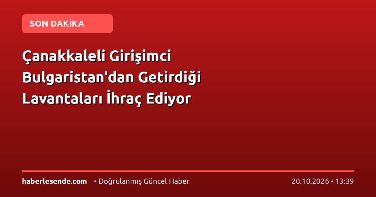 Çanakkaleli Girişimci Bulgaristan'dan Getirdiği Lavantaları İhraç Ediyor